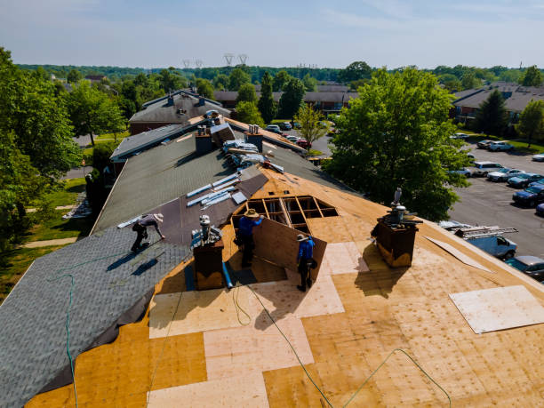 Best Slate Roofing Contractor  in Vivian, LA