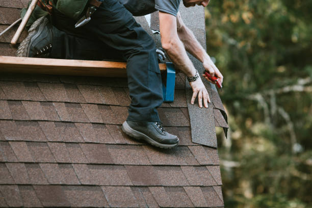 Best Roof Gutter Cleaning  in Vivian, LA